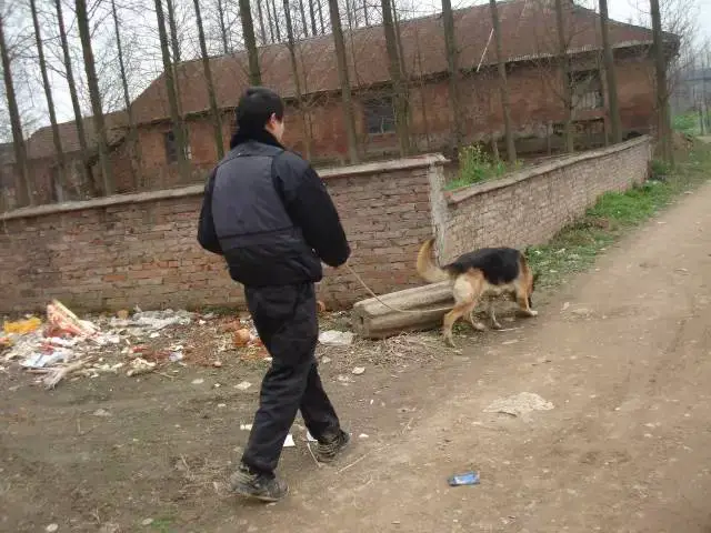 中考篮球技巧训练方法_2